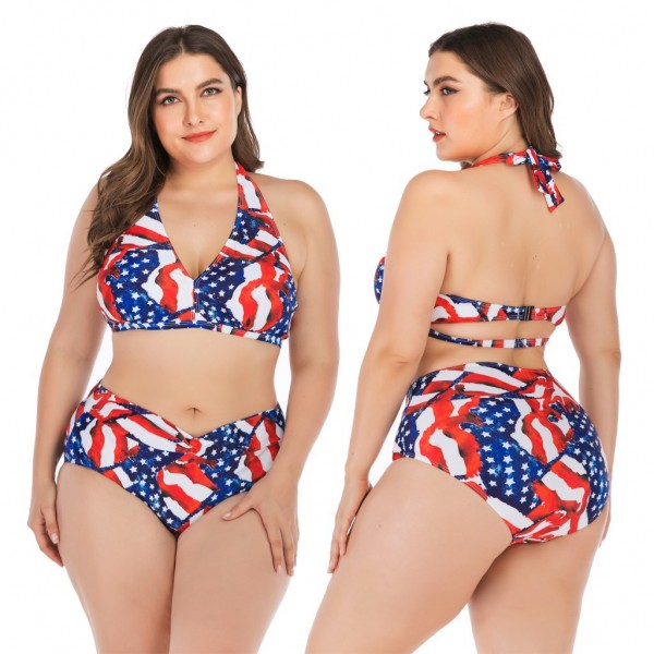 Americana Bikini Halter Top Plus Size Swimsuit